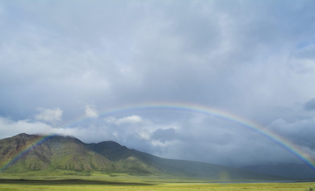 lclare_anwr_july2016-65