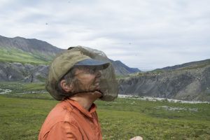 lclare_anwr_july2016-45-1