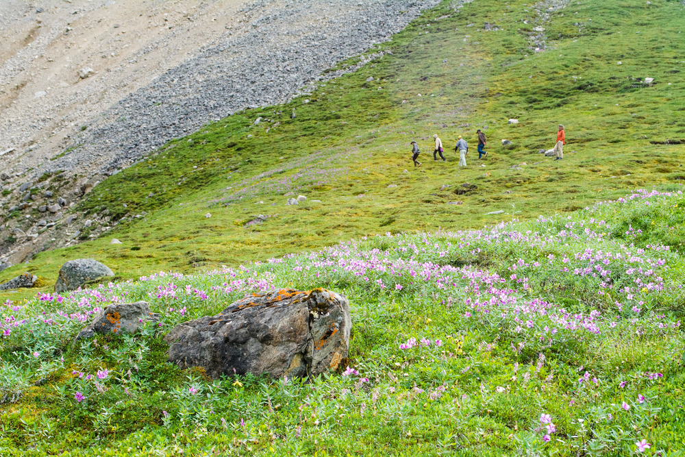 #Hiking in ANWR. @lioneclarephotography