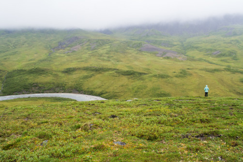 lclare_anwr_july2016-9-1