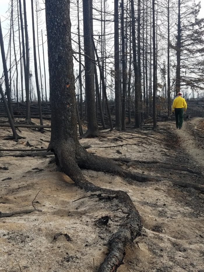 Hot Topics in Alaska Wildfire Friends of Alaska National