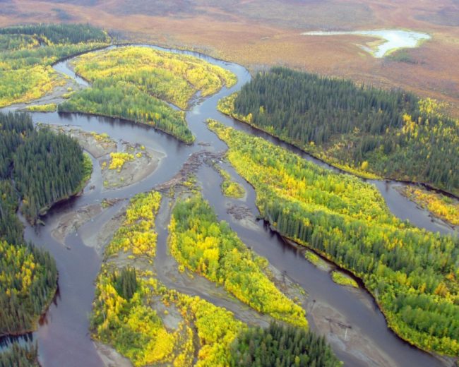 Few Moose, Few Wolves: What is the Story on the Yukon Flats Refuge? 1/ ...