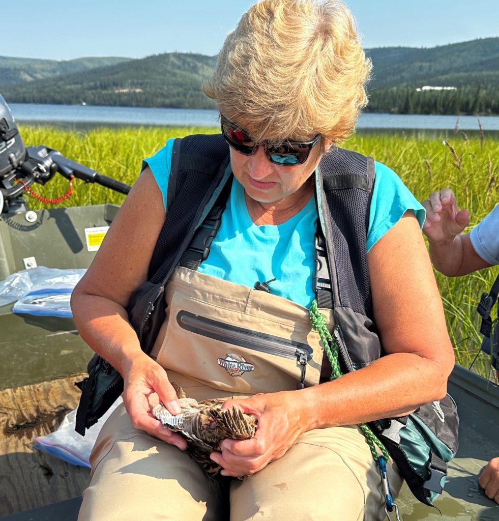 In the Field: Friends Volunteering – Friends of Alaska National