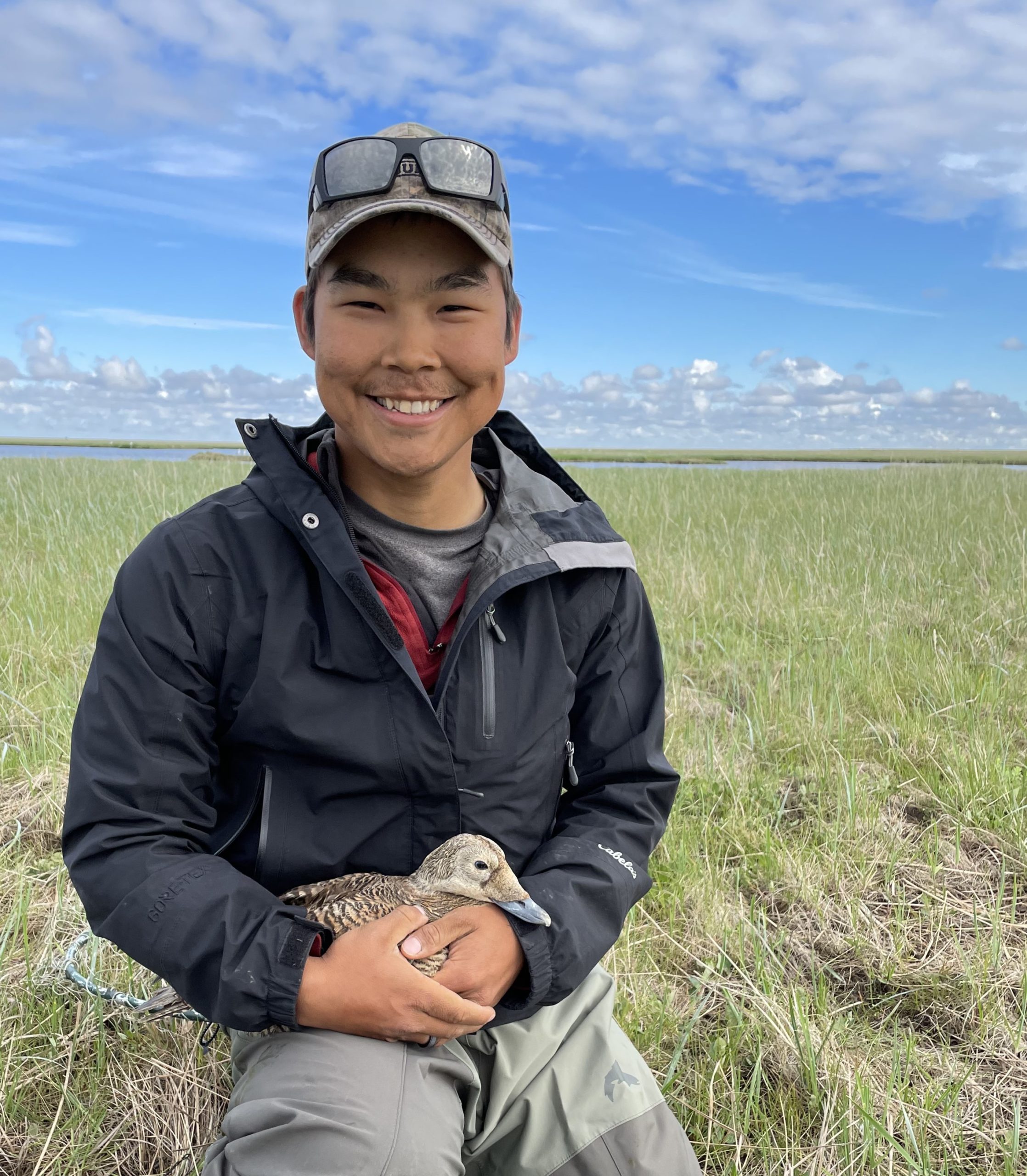 Waterfowl on the Yukon Delta