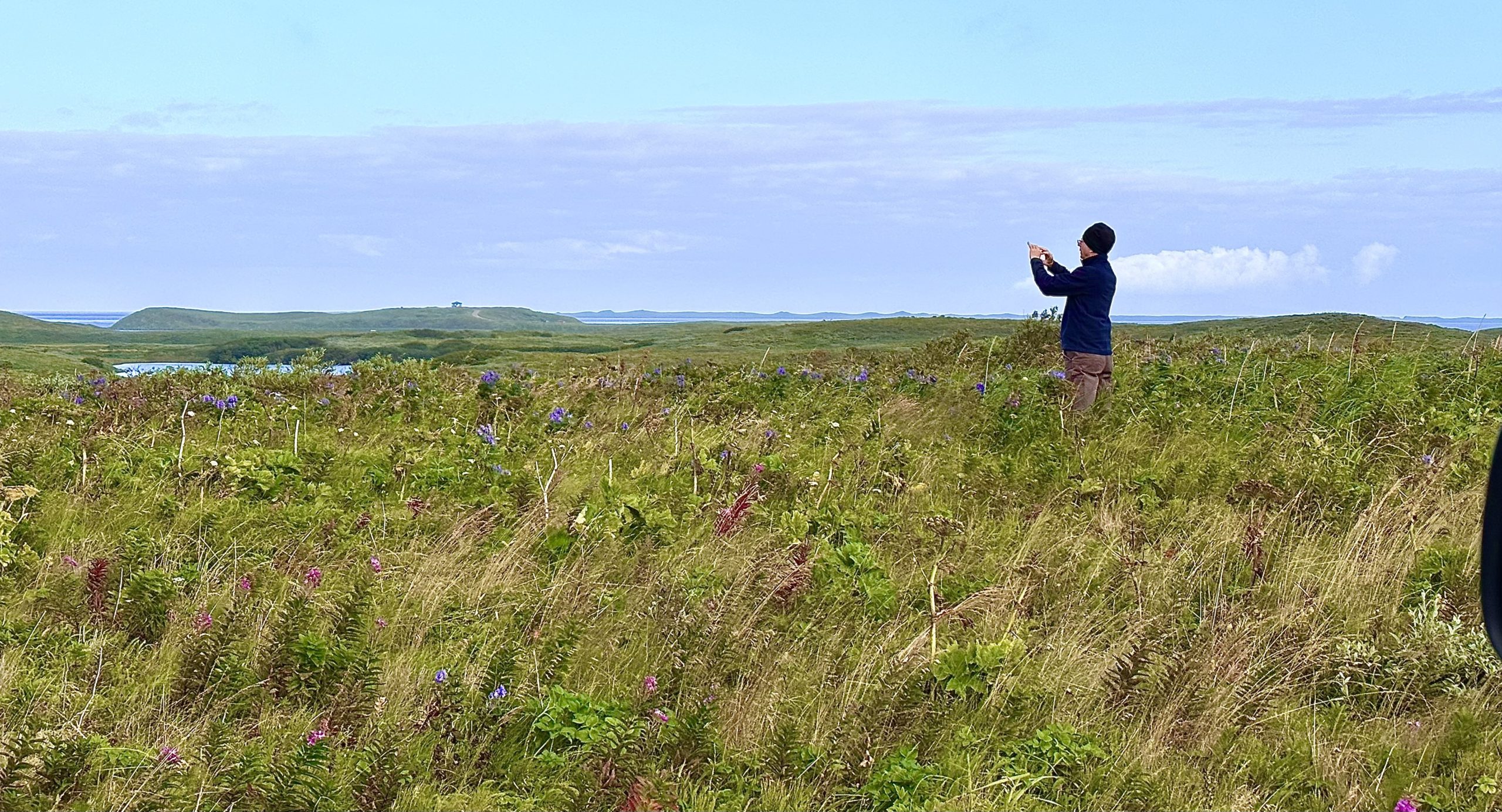 In the Field:  Friends Volunteering