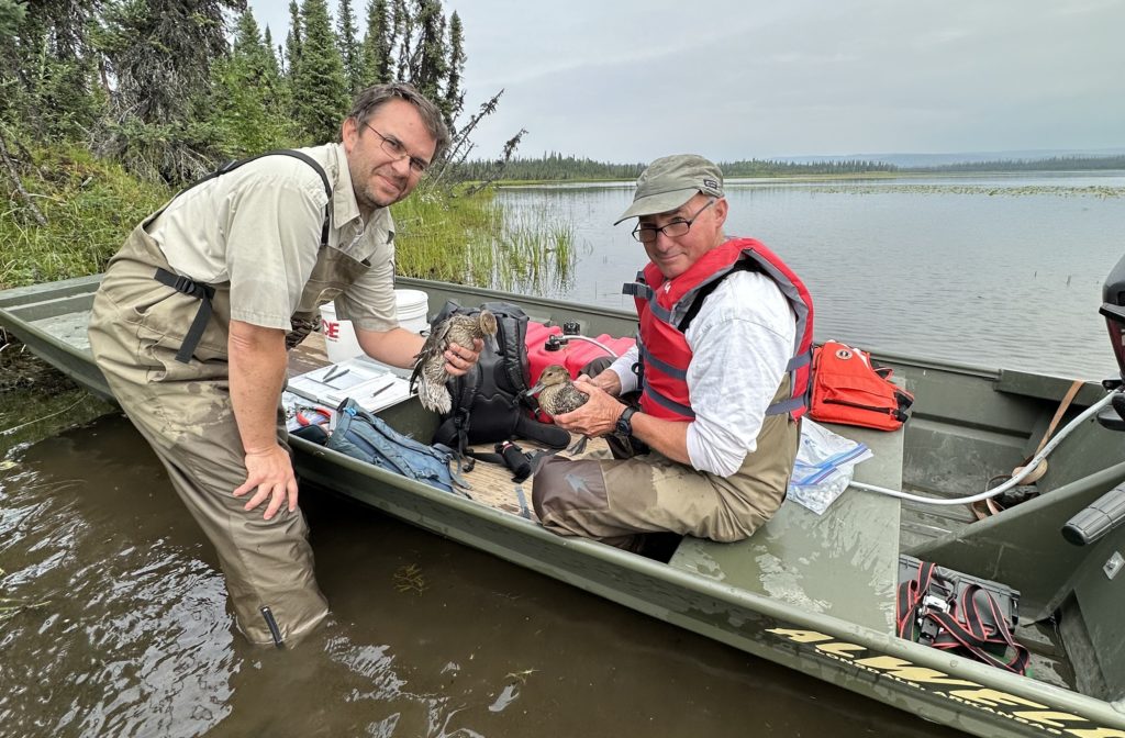 In the Field: Friends Volunteering – Friends of Alaska National
