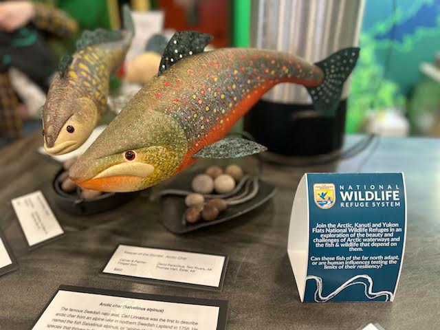 David Personius's fish sculptures with table tent information